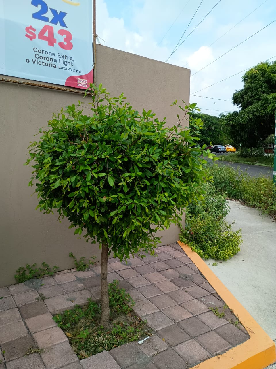 leetx-google-photo-75049-1