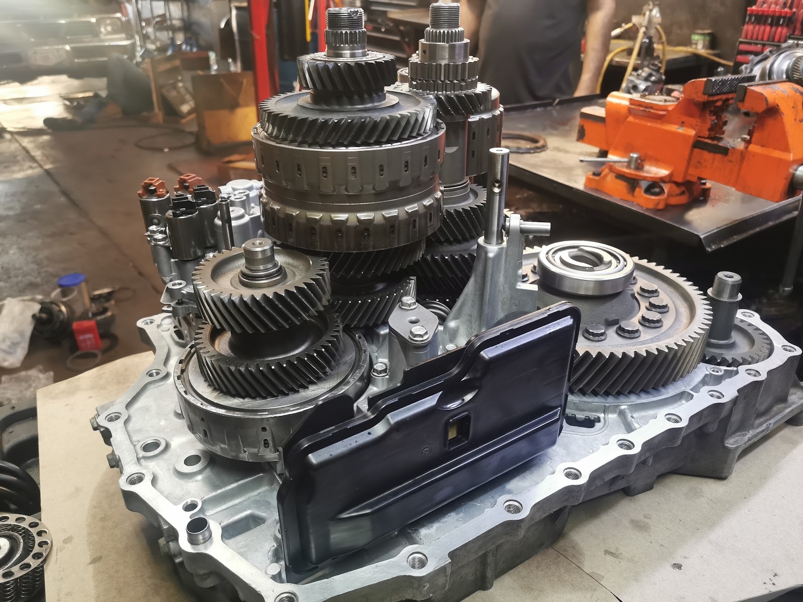 leetx-google-photo-75069-3 leetx-google-photo-75069-3