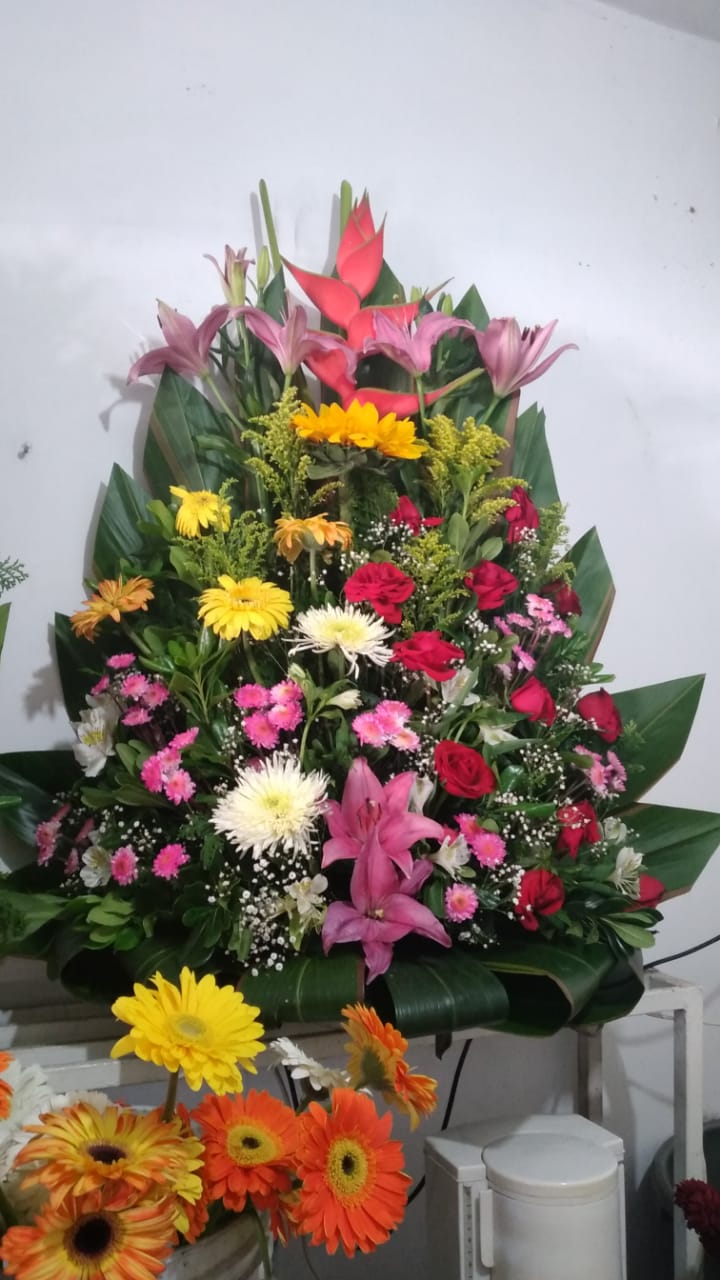 leetx-google-photo-75316-3 leetx-google-photo-75316-3