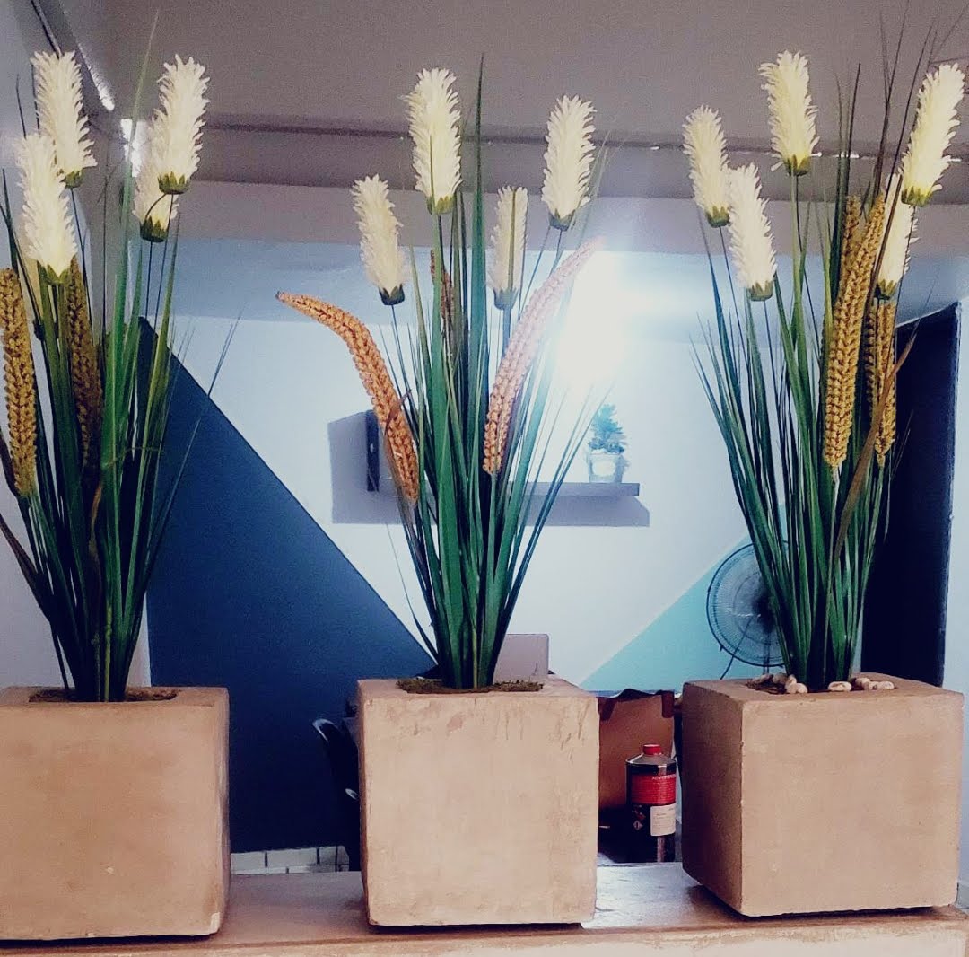 leetx-google-photo-75330-1