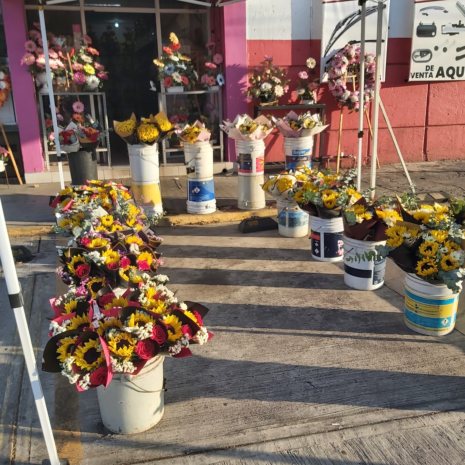 leetx-google-photo-75350-4 leetx-google-photo-75350-4