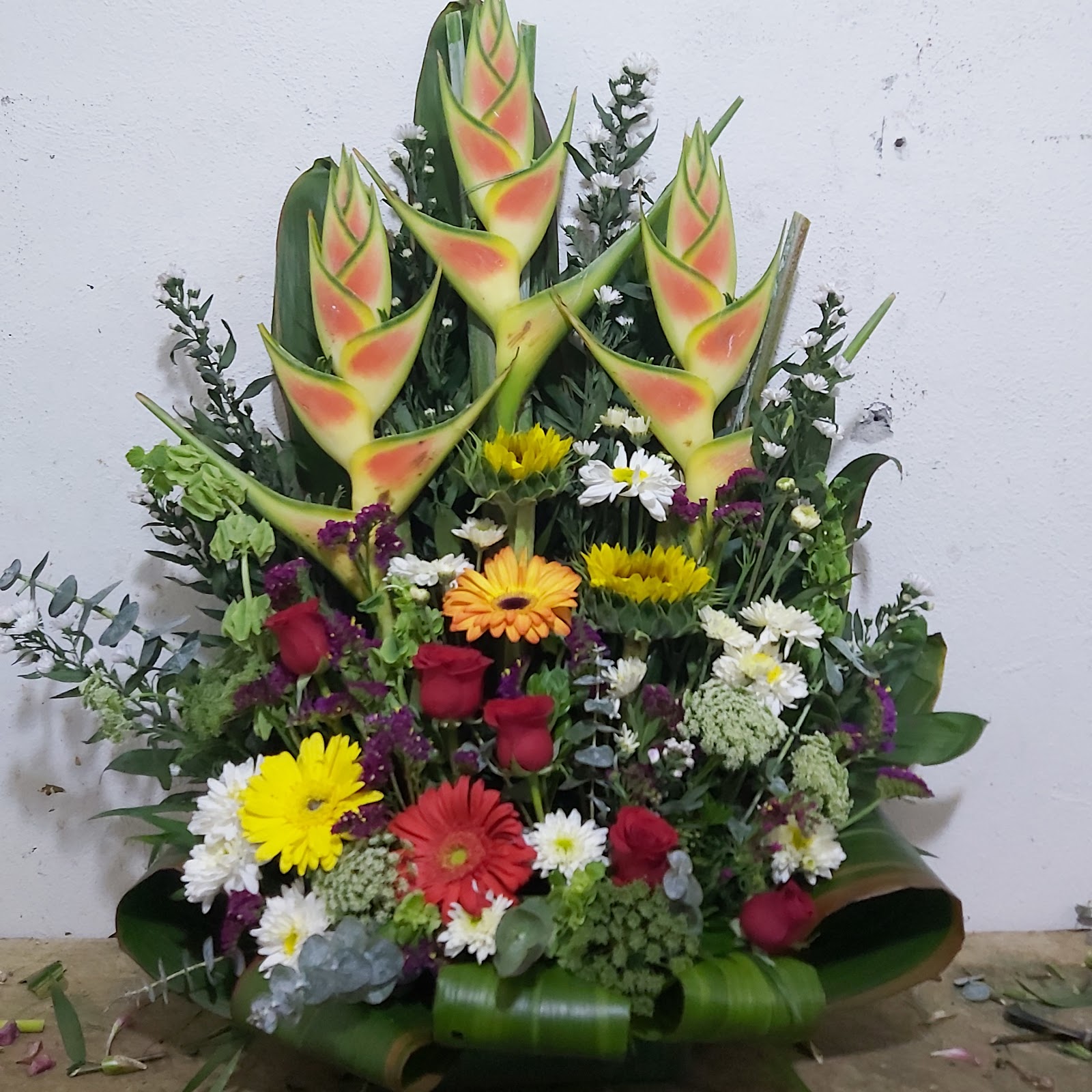 leetx-google-photo-75350-6 leetx-google-photo-75350-6