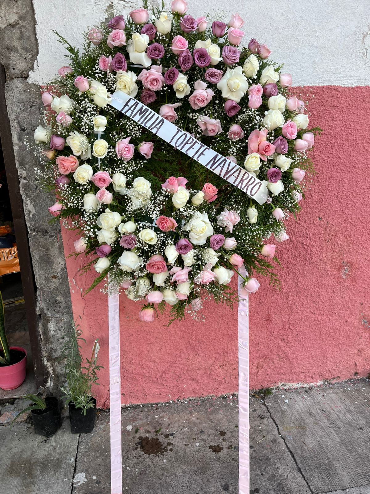 leetx-google-photo-75360-5 leetx-google-photo-75360-5