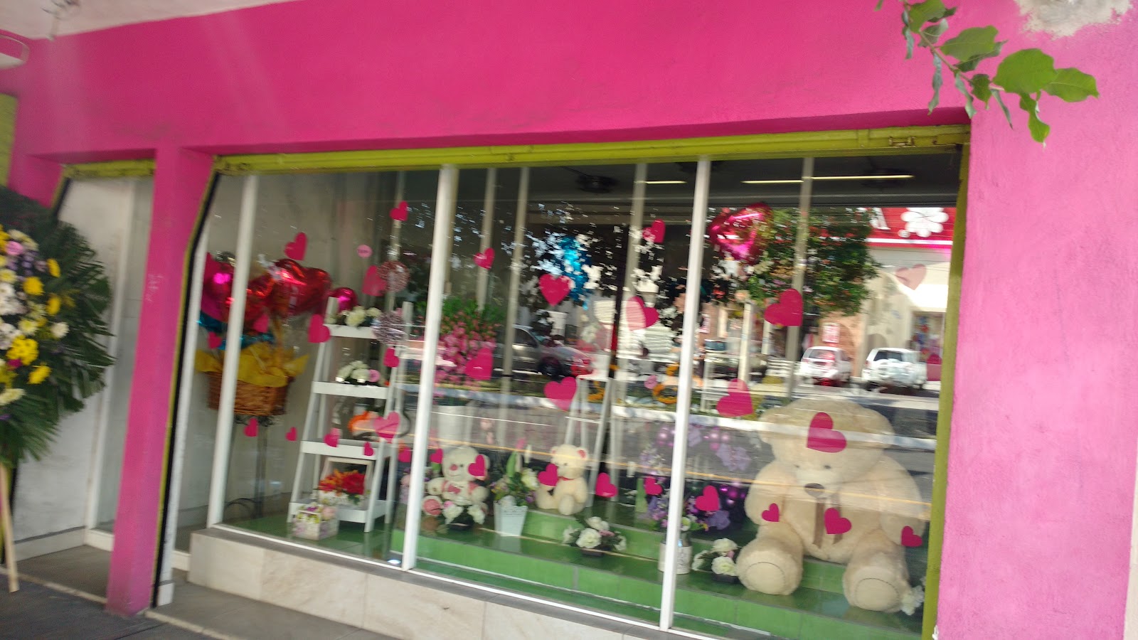 leetx-google-photo-75403-1