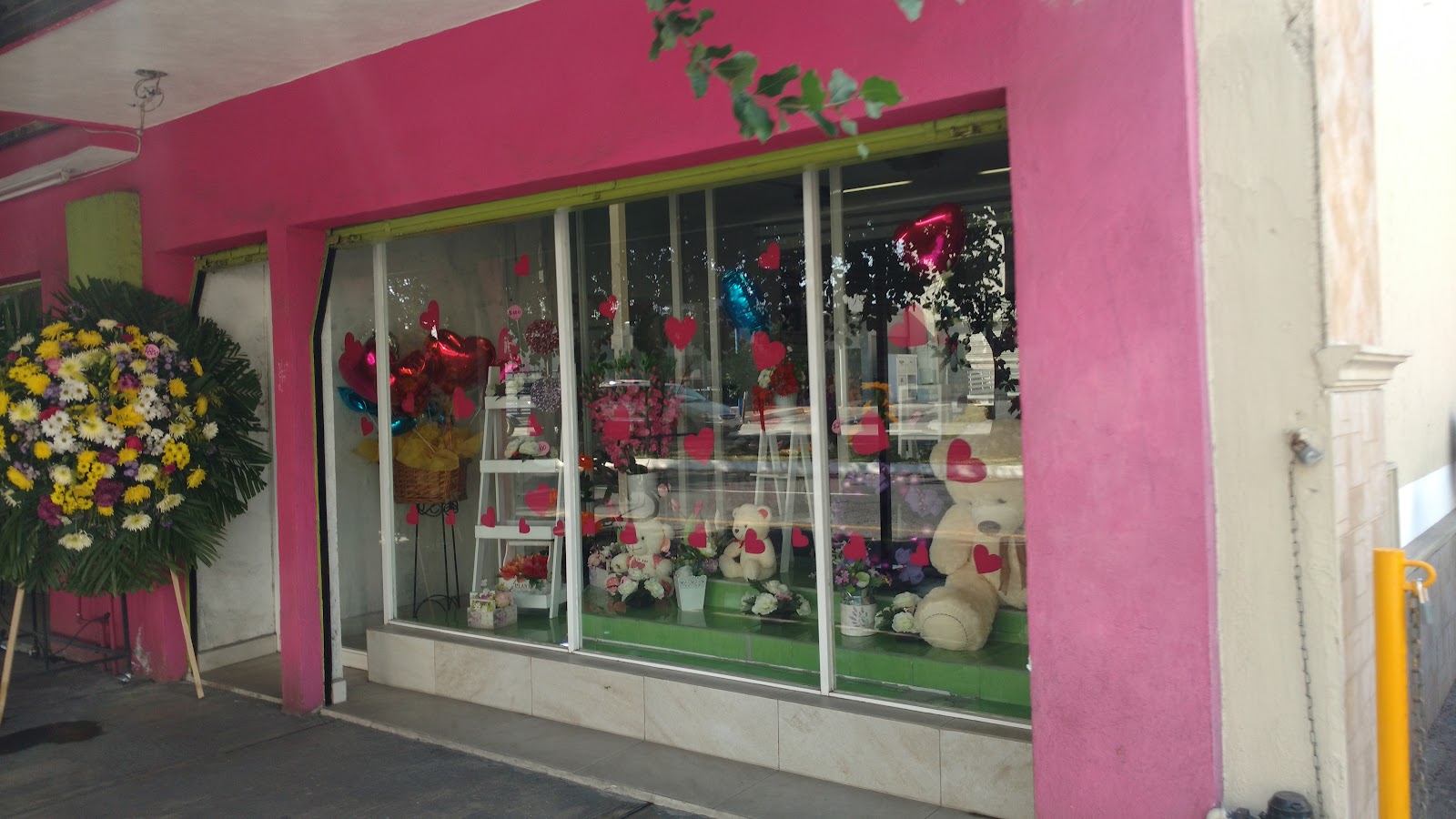 leetx-google-photo-75403-7 leetx-google-photo-75403-7