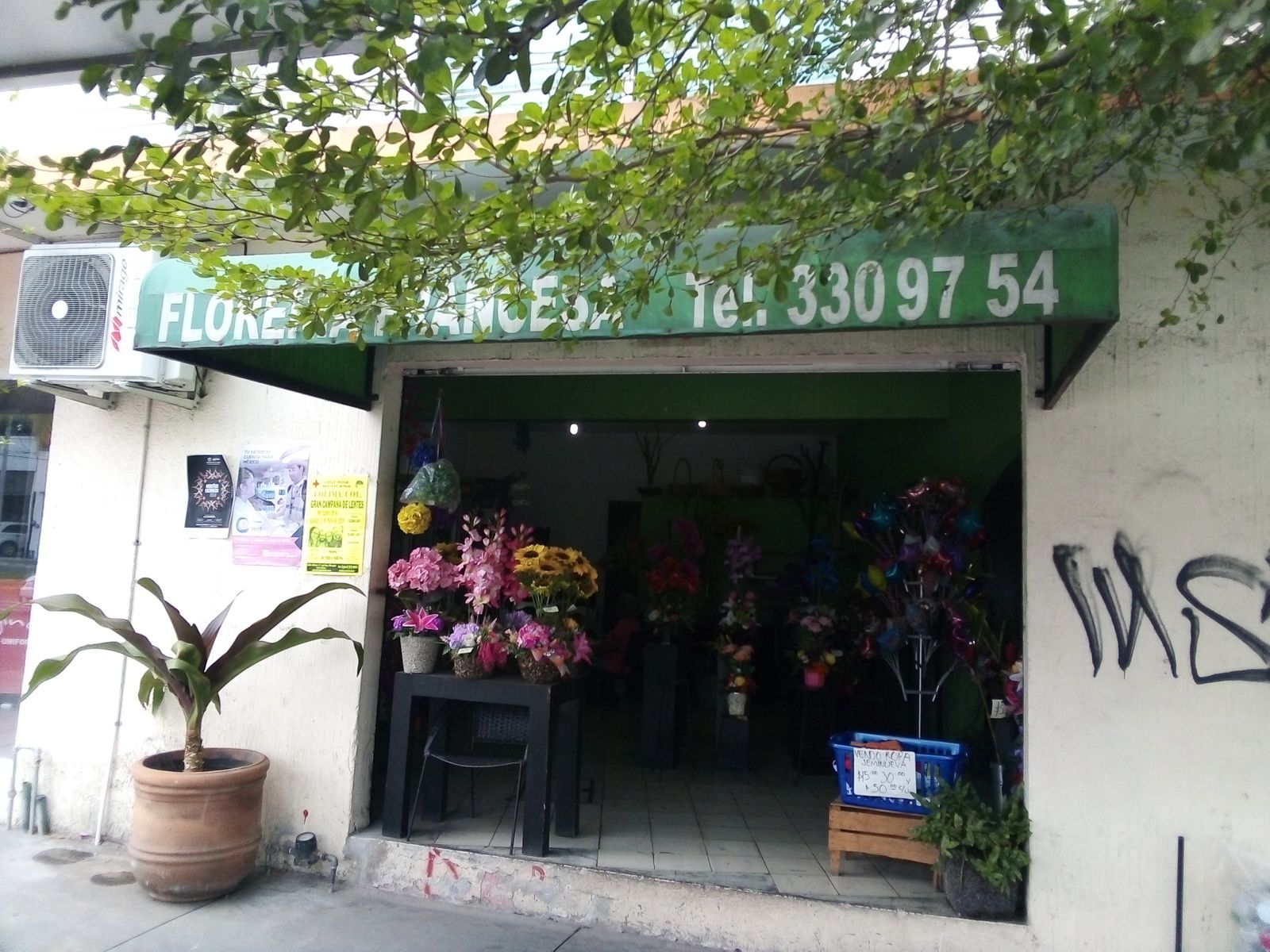 leetx-google-photo-75411-1