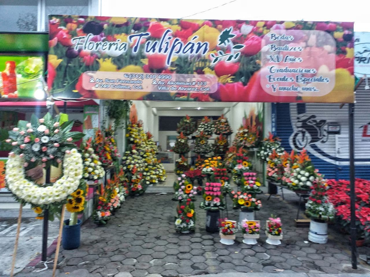 leetx-google-photo-75421-1