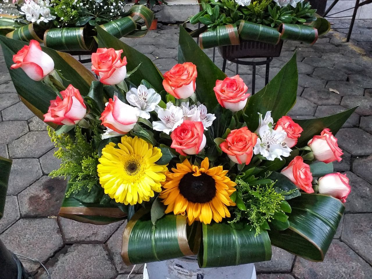 leetx-google-photo-75421-2 leetx-google-photo-75421-2