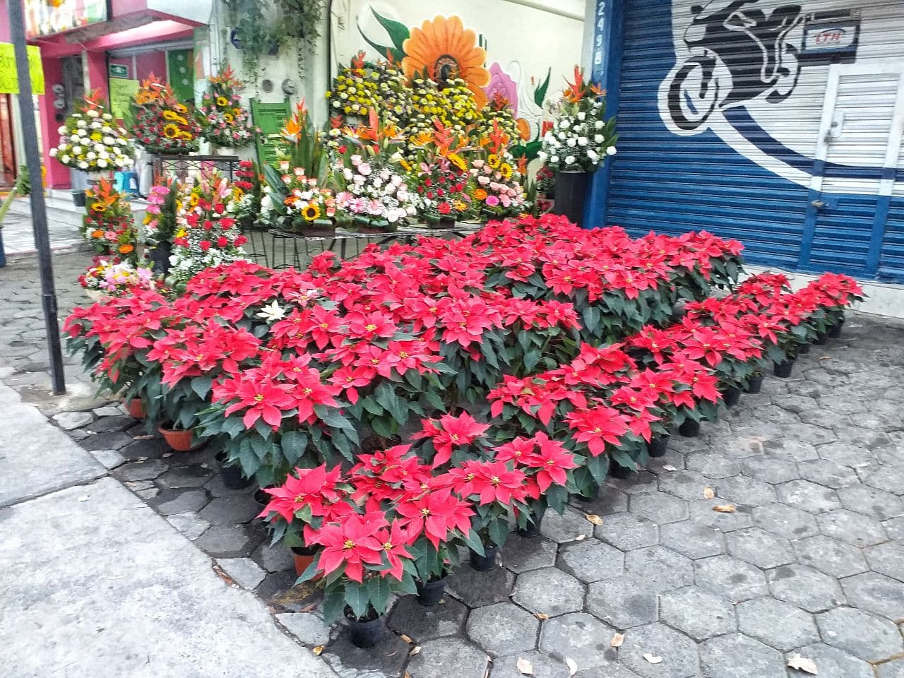 leetx-google-photo-75421-6 leetx-google-photo-75421-6