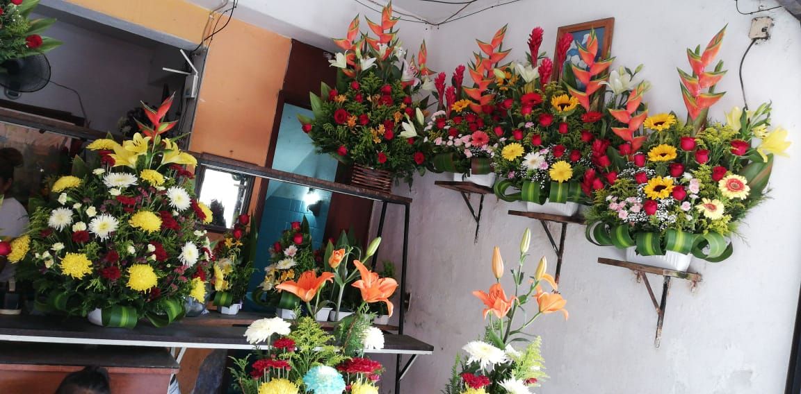 leetx-google-photo-75449-2 leetx-google-photo-75449-2