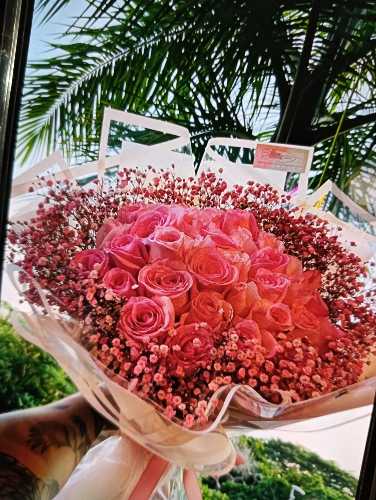 leetx-google-photo-75449-3 leetx-google-photo-75449-3