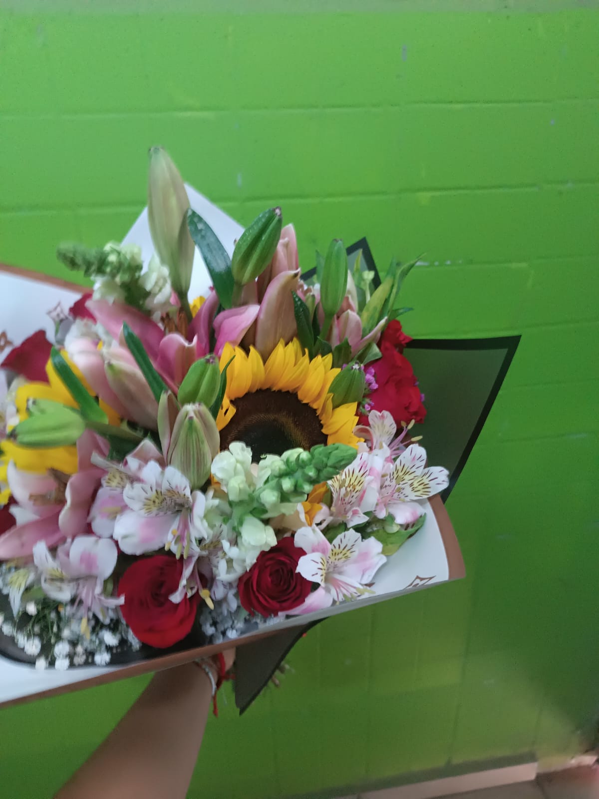 leetx-google-photo-75449-4 leetx-google-photo-75449-4