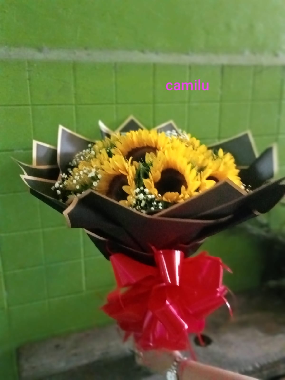 leetx-google-photo-75449-5 leetx-google-photo-75449-5