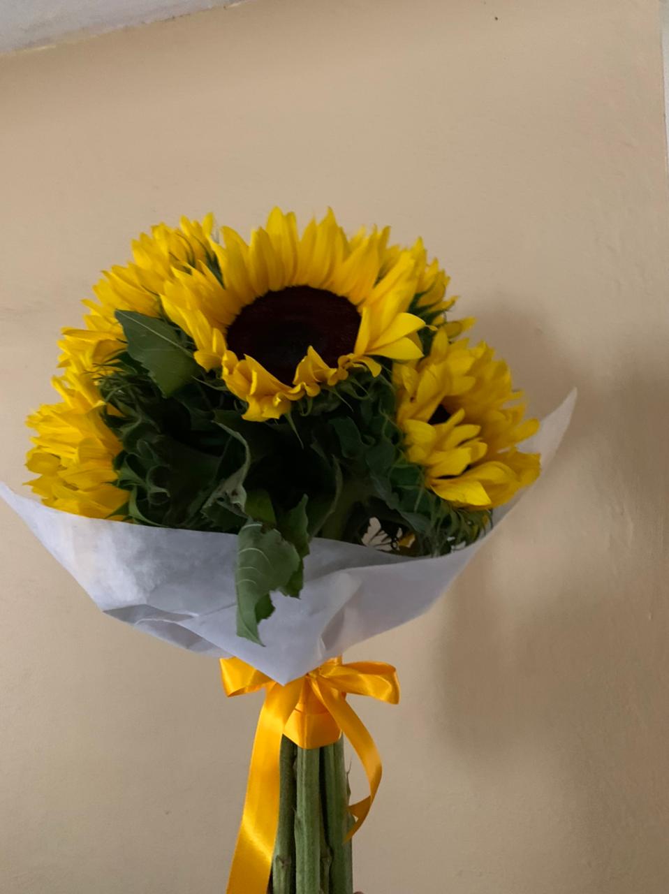 leetx-google-photo-75496-5 leetx-google-photo-75496-5