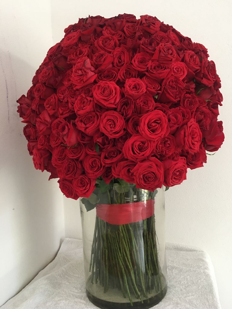 leetx-google-photo-75496-6 leetx-google-photo-75496-6