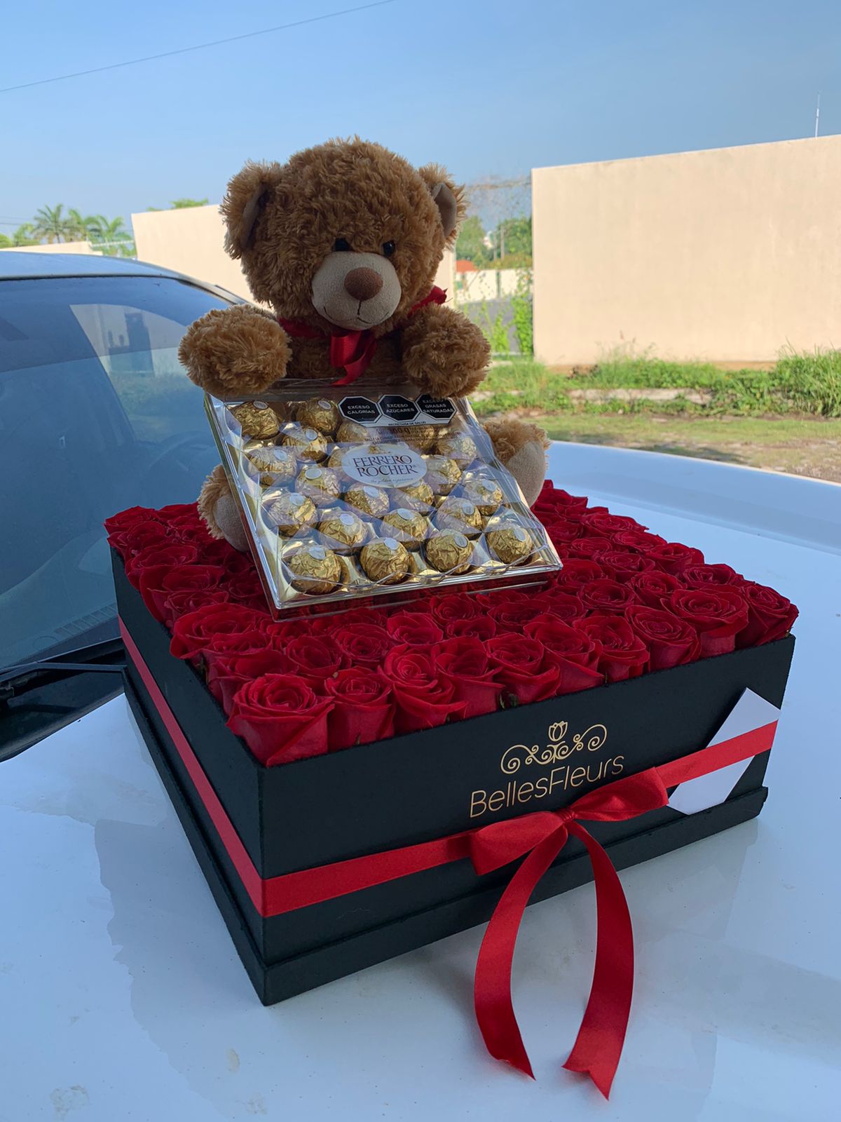 leetx-google-photo-75496-7 leetx-google-photo-75496-7