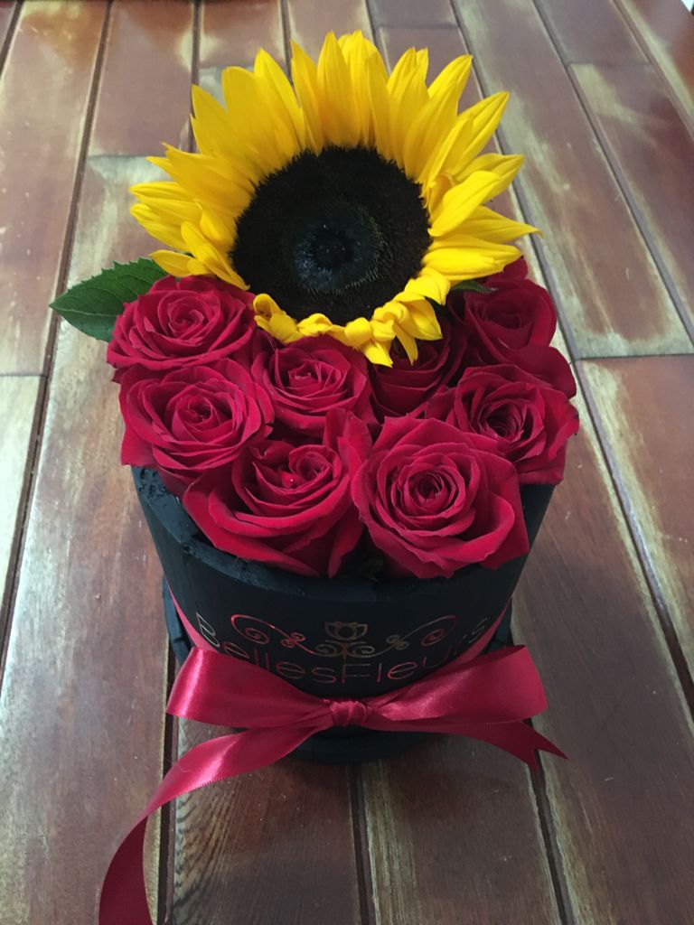 leetx-google-photo-75496-8 leetx-google-photo-75496-8