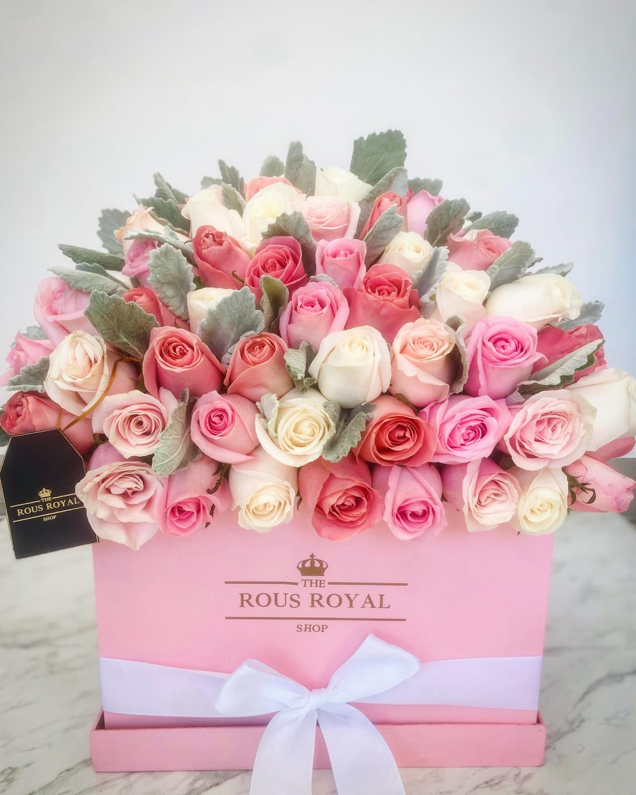 leetx-google-photo-75506-7 leetx-google-photo-75506-7