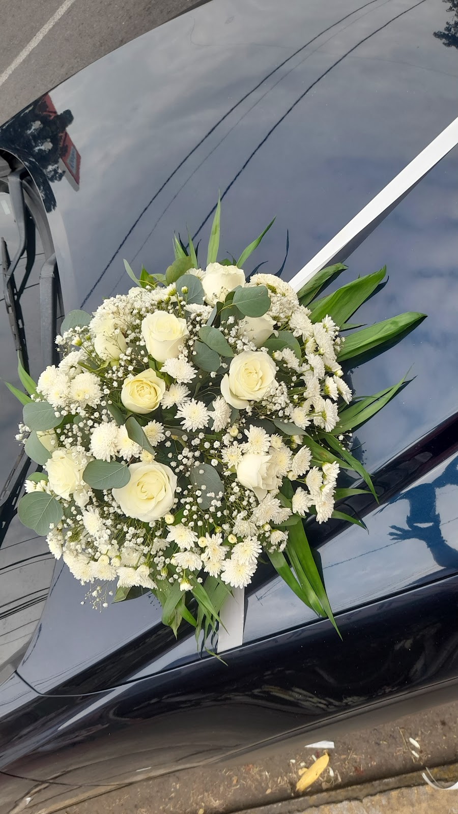 leetx-google-photo-75570-2 leetx-google-photo-75570-2