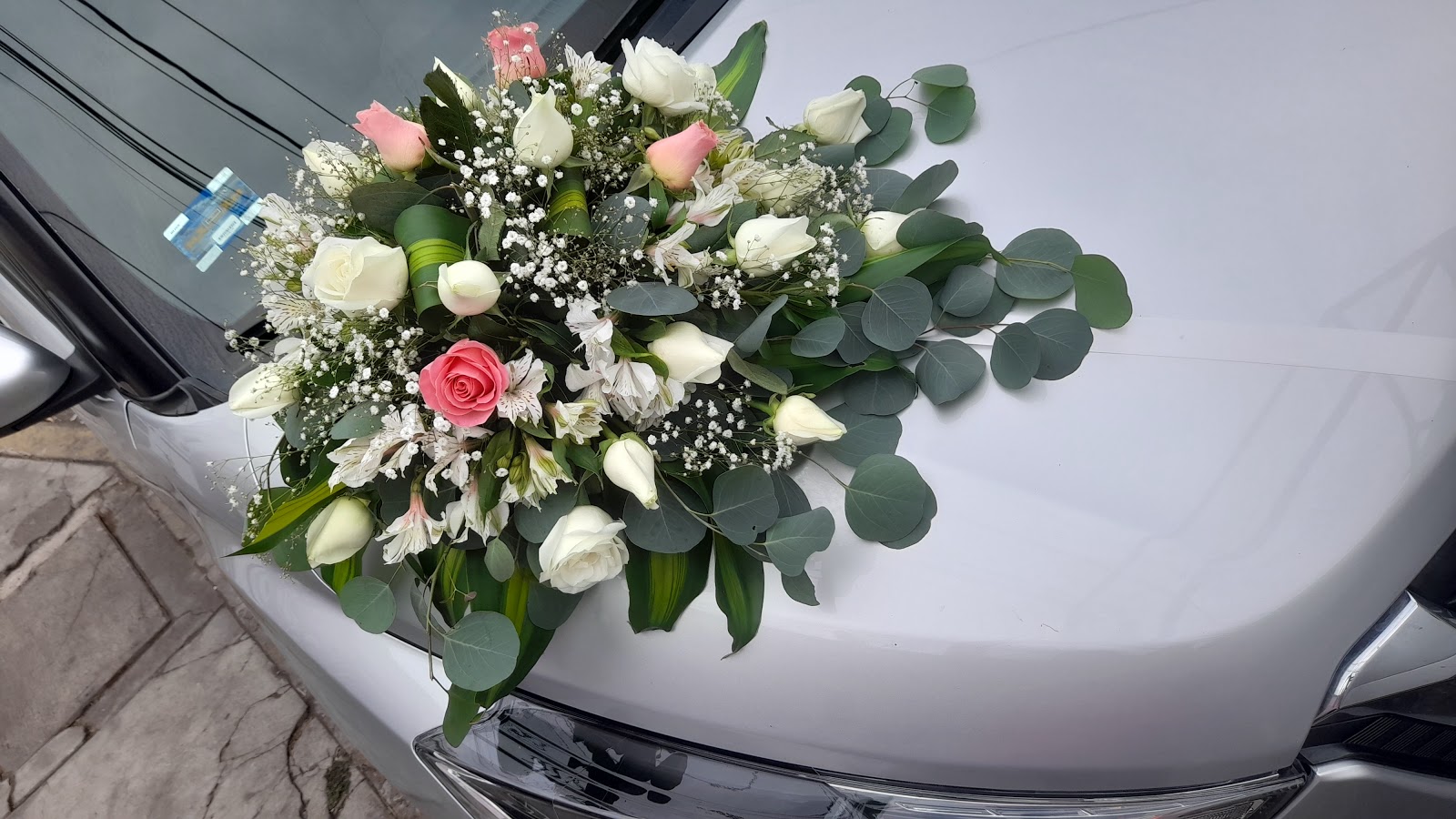 leetx-google-photo-75570-4 leetx-google-photo-75570-4