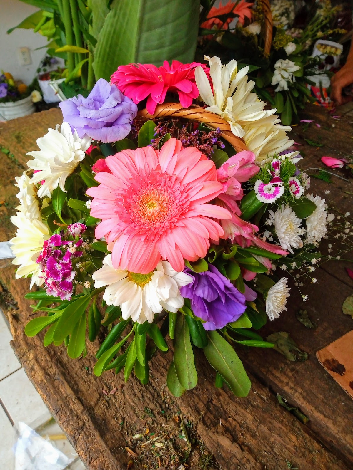 leetx-google-photo-75570-5 leetx-google-photo-75570-5