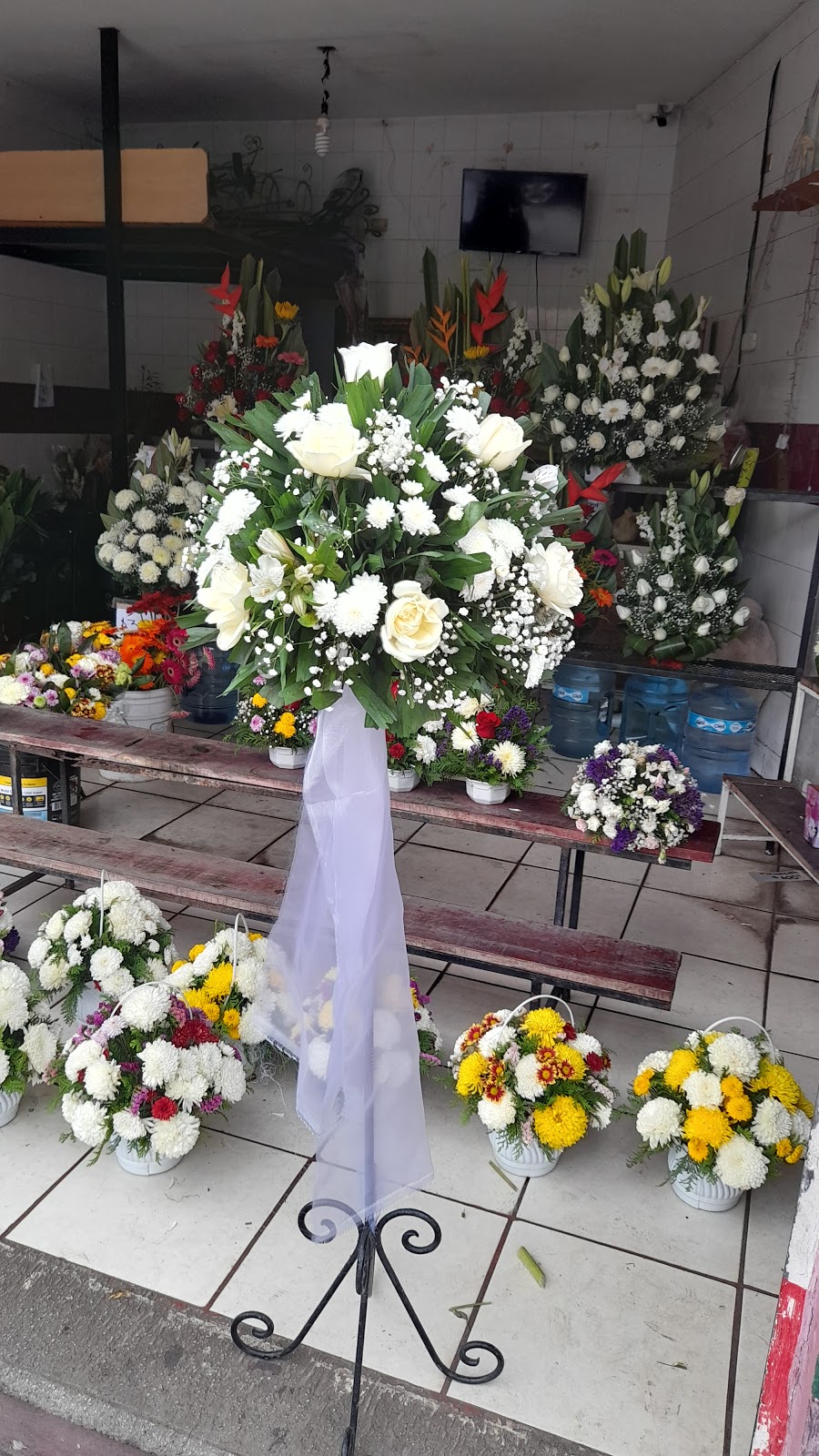 leetx-google-photo-75570-6 leetx-google-photo-75570-6