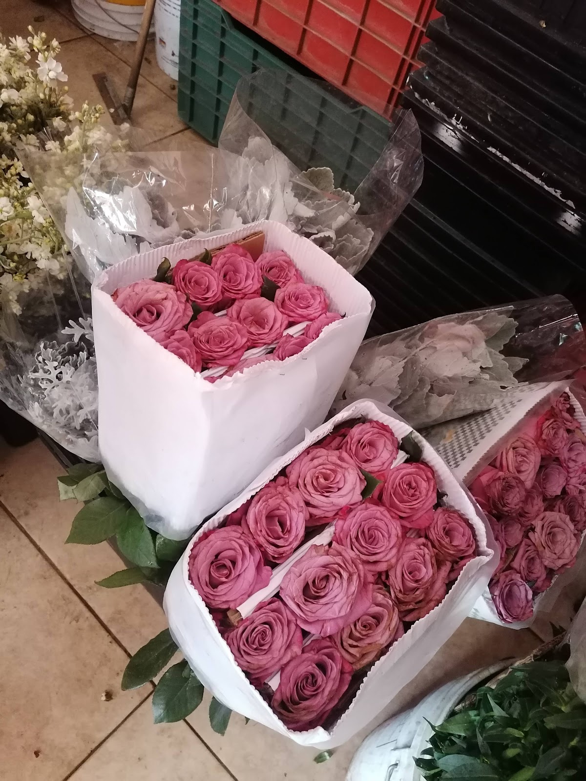 leetx-google-photo-75601-3 leetx-google-photo-75601-3