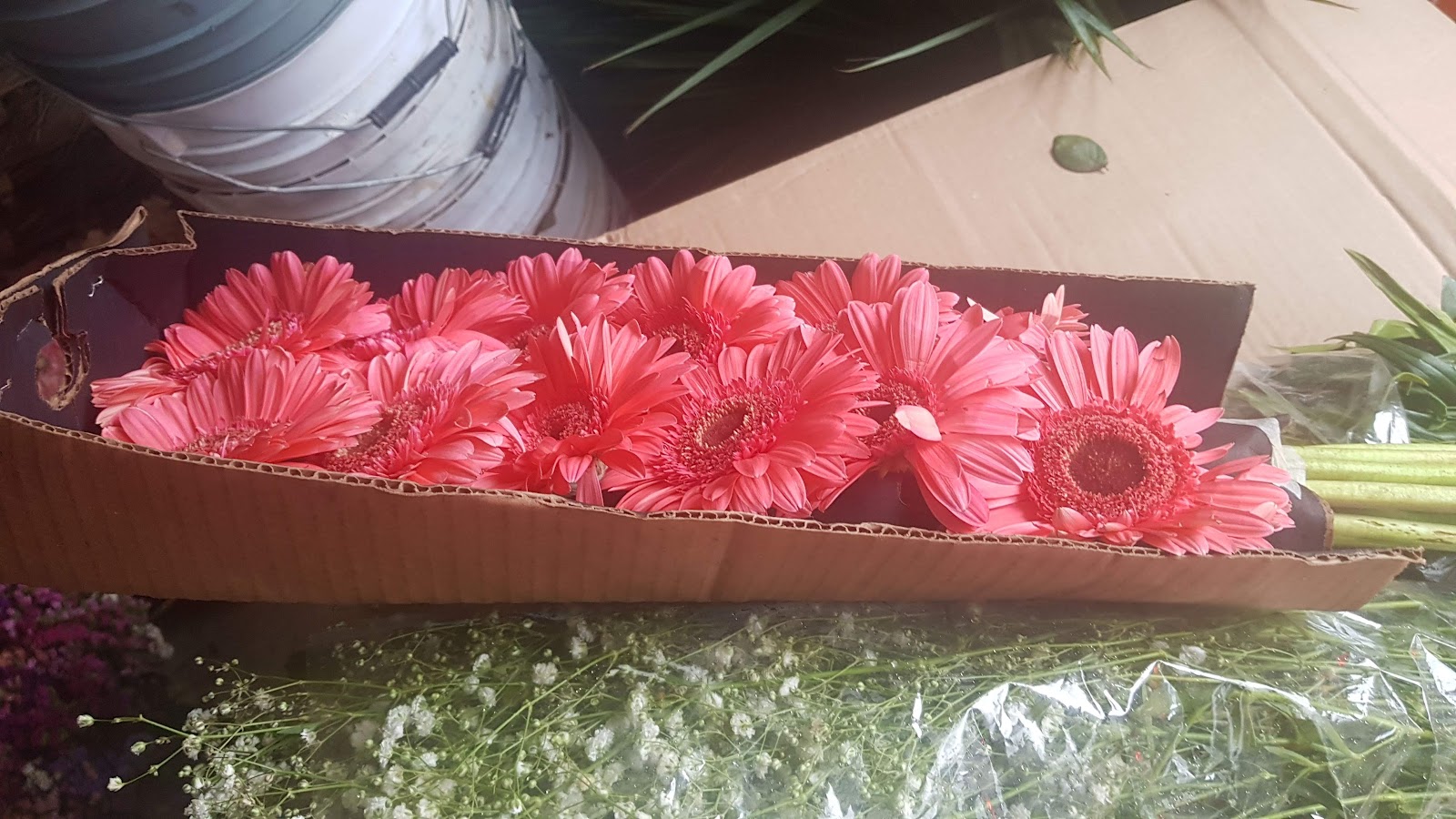 leetx-google-photo-75601-4 leetx-google-photo-75601-4