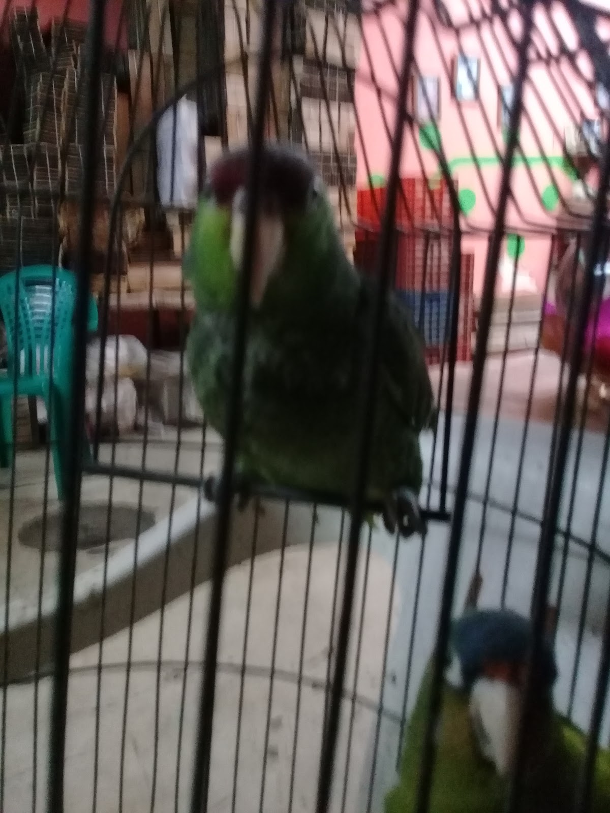 leetx-google-photo-75601-5 leetx-google-photo-75601-5