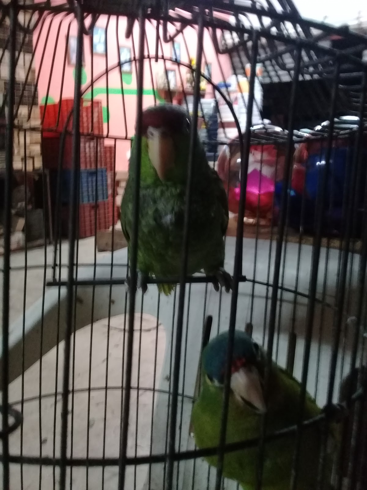 leetx-google-photo-75601-6 leetx-google-photo-75601-6