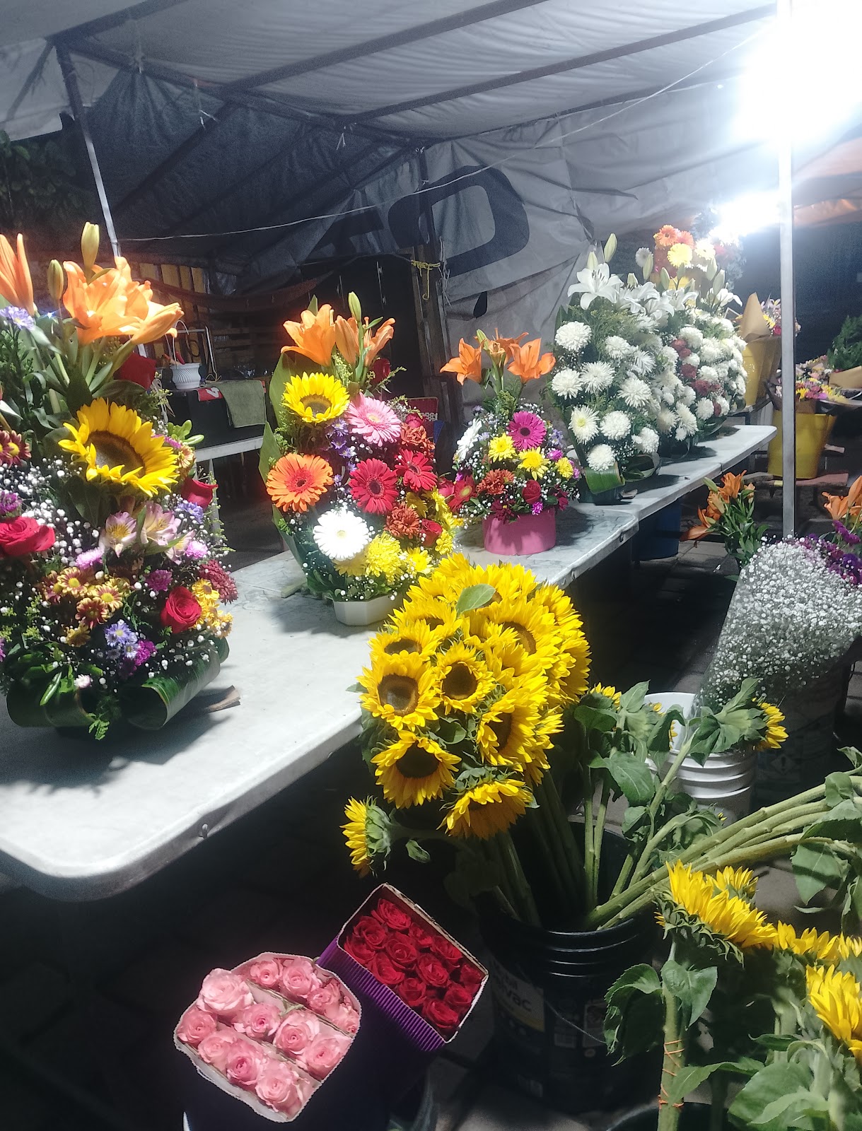 leetx-google-photo-75623-1