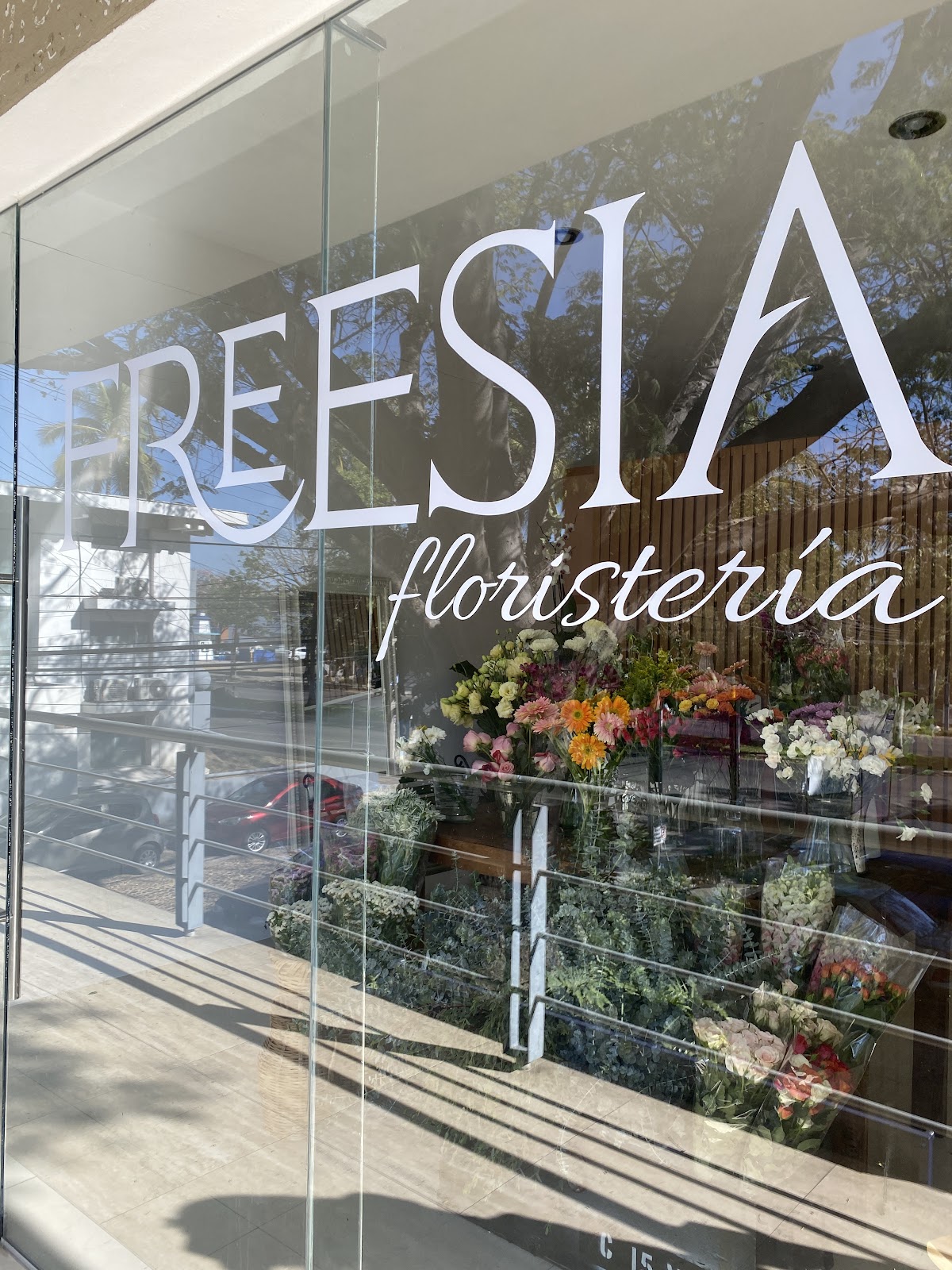 leetx-google-photo-75685-1