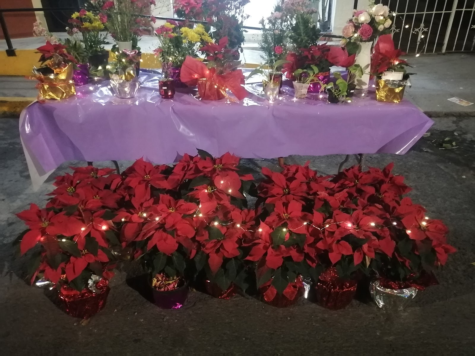 leetx-google-photo-75695-6 leetx-google-photo-75695-6