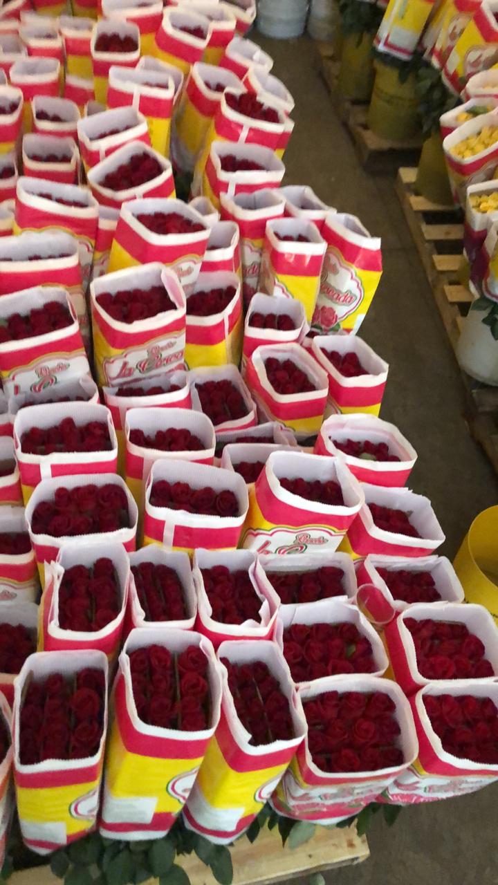 leetx-google-photo-75705-3 leetx-google-photo-75705-3