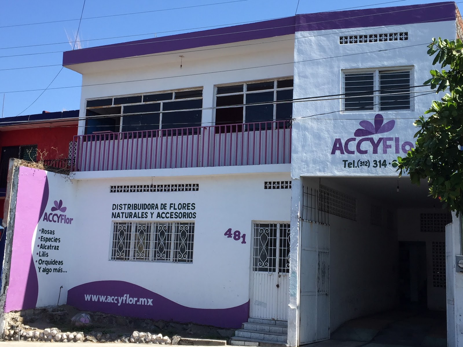 leetx-google-photo-75705-7 leetx-google-photo-75705-7