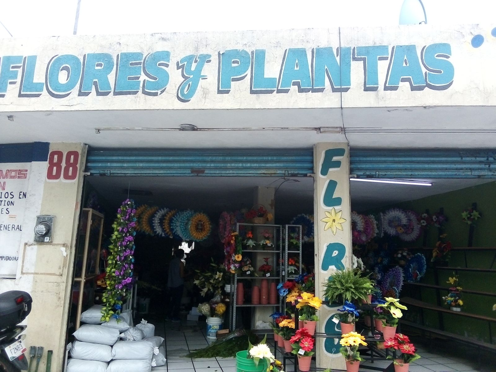 leetx-google-photo-75715-1 leetx-google-photo-75715-1