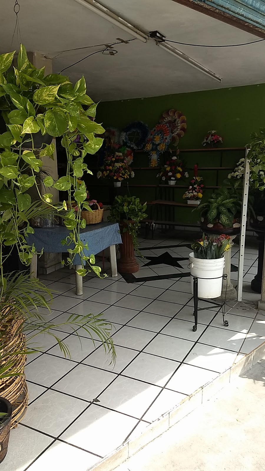 leetx-google-photo-75715-2 leetx-google-photo-75715-2