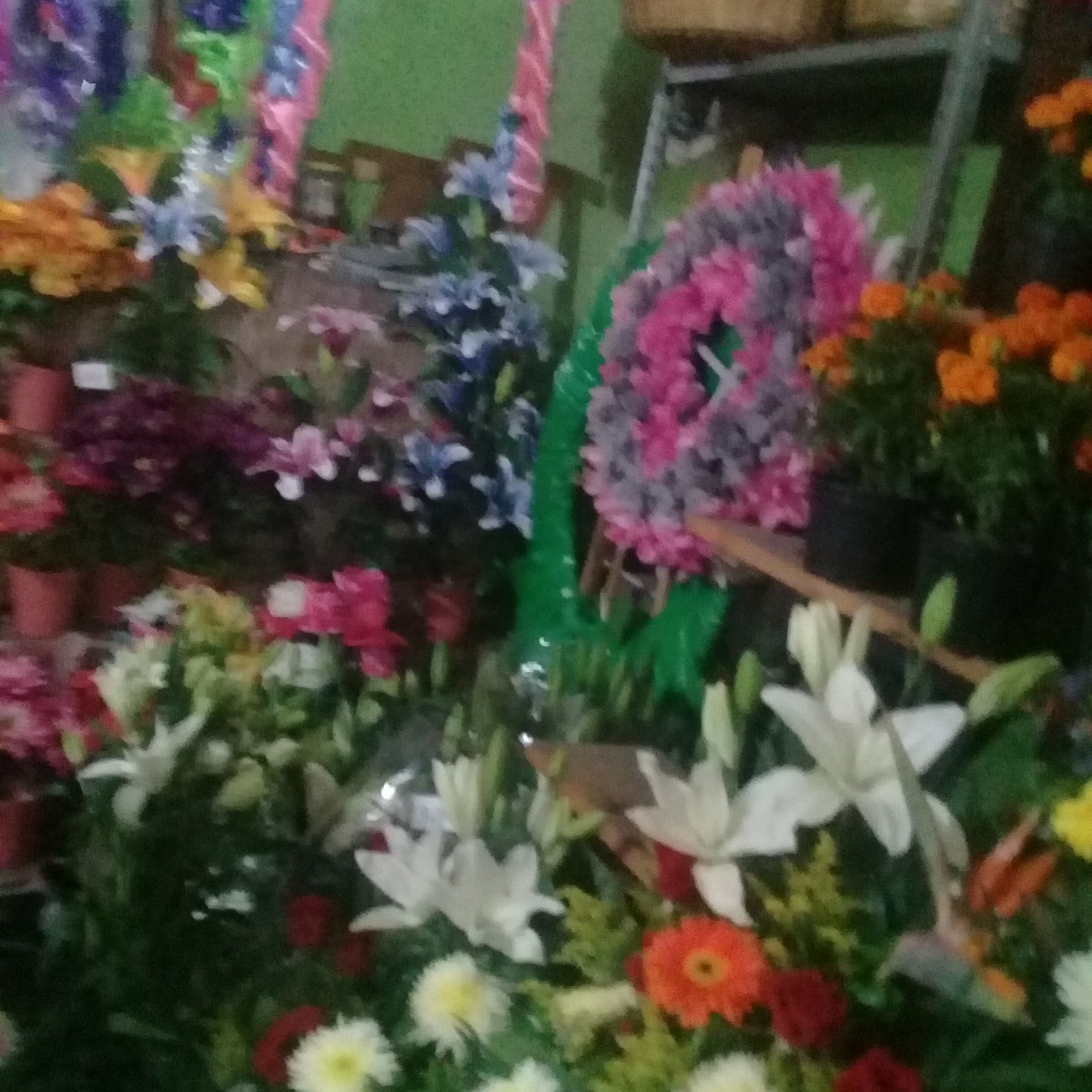 leetx-google-photo-75715-3 leetx-google-photo-75715-3