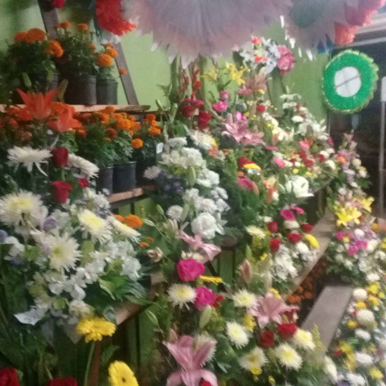 leetx-google-photo-75715-4 leetx-google-photo-75715-4