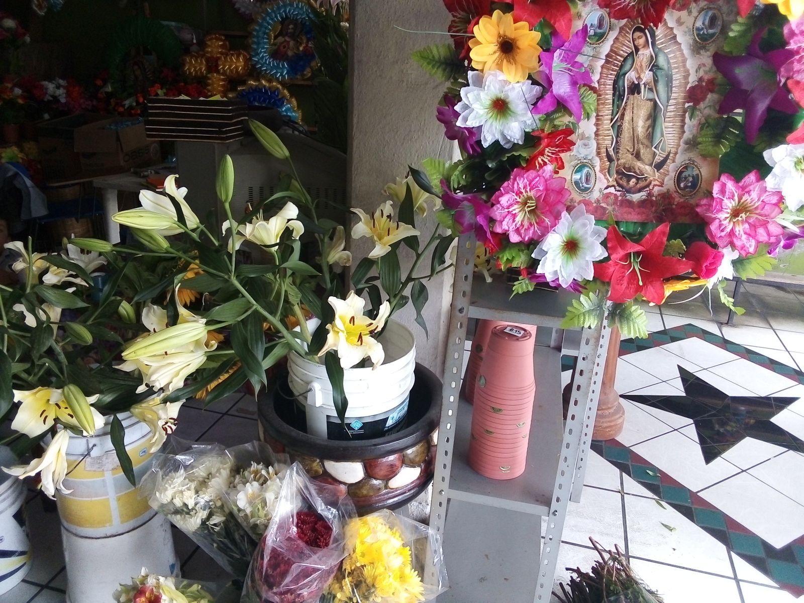 leetx-google-photo-75715-5 leetx-google-photo-75715-5