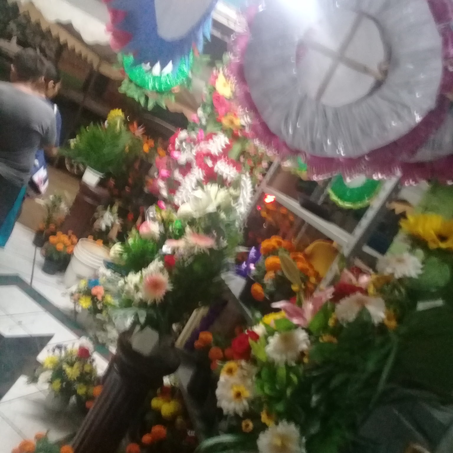 leetx-google-photo-75715-6 leetx-google-photo-75715-6