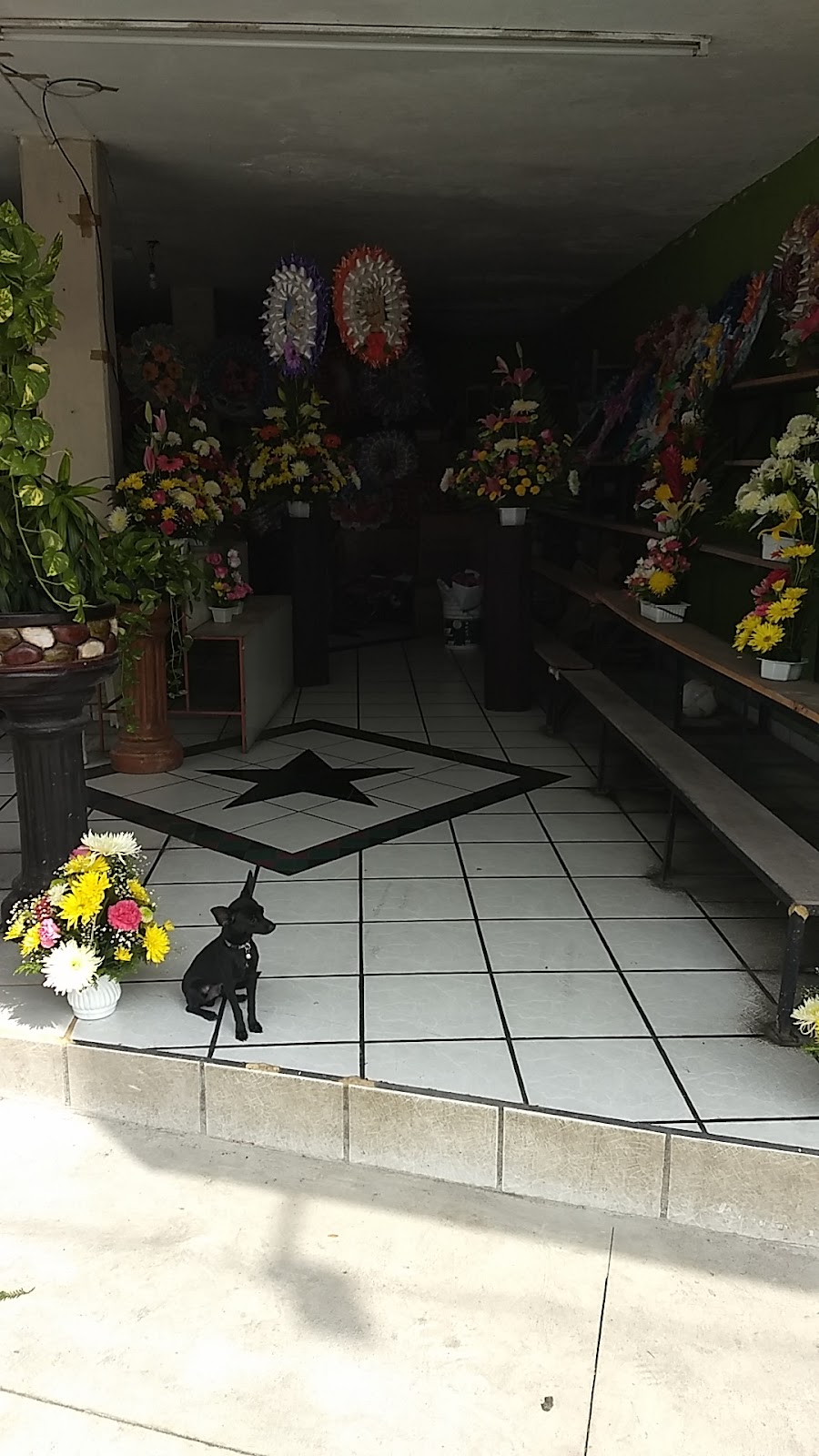 leetx-google-photo-75715-8 leetx-google-photo-75715-8