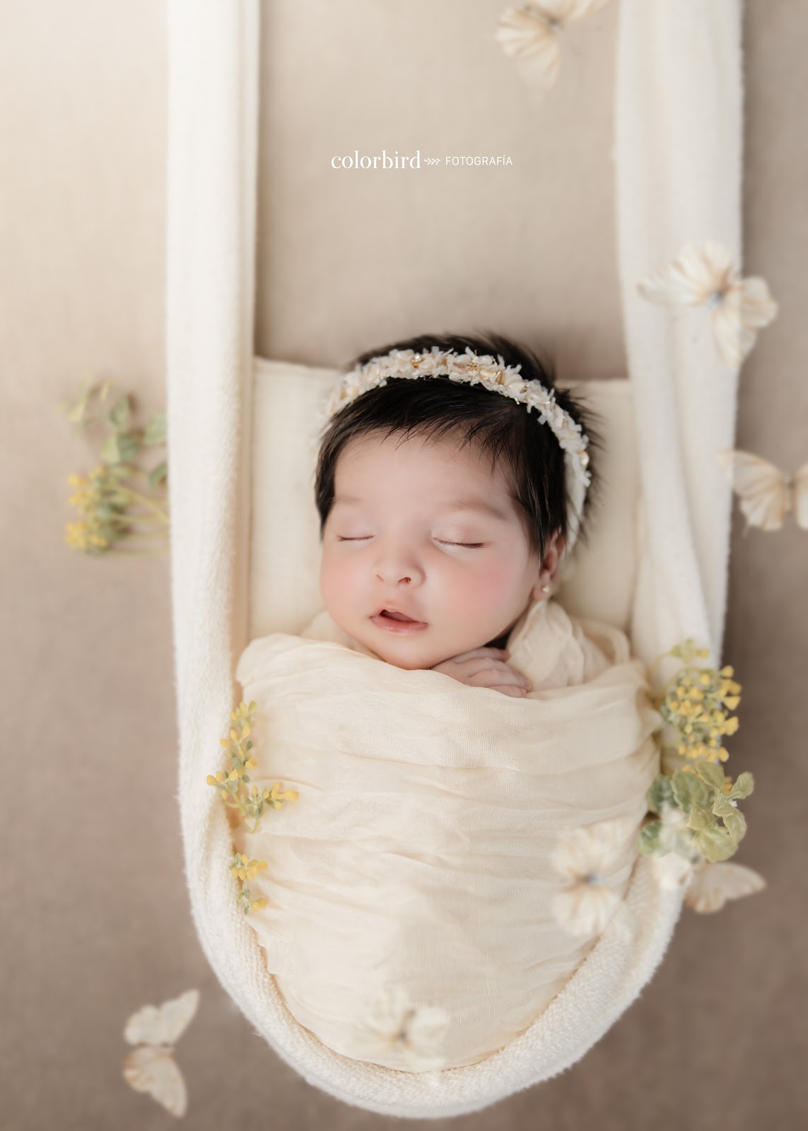 leetx-google-photo-75930-1