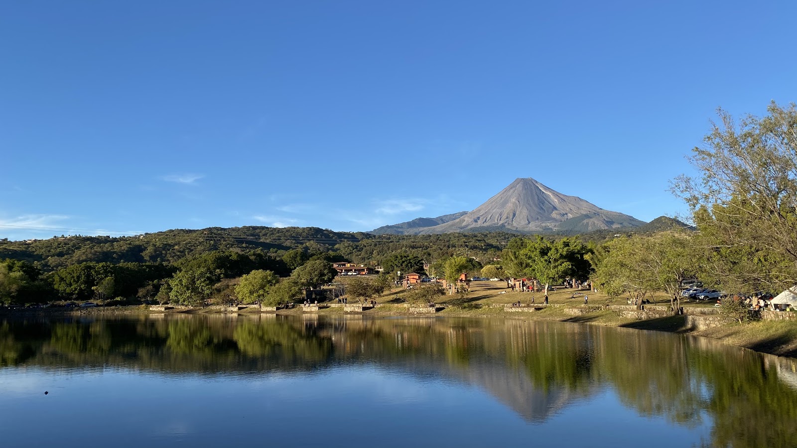 leetx-google-photo-75969-1