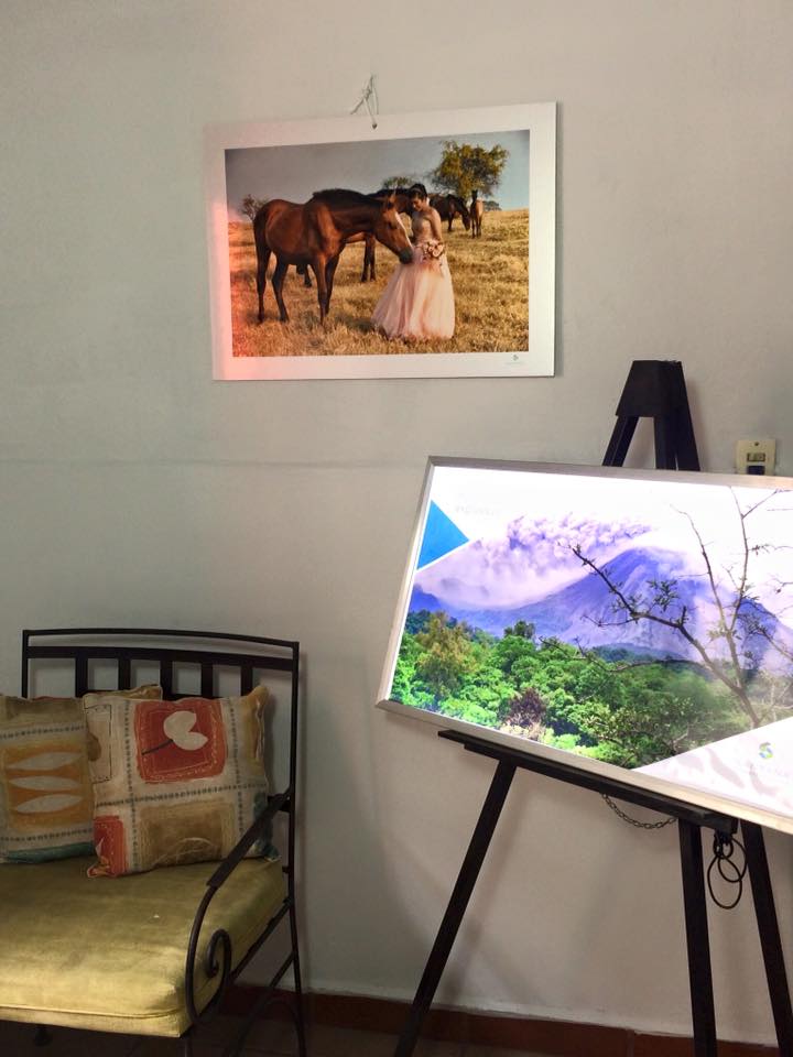 leetx-google-photo-76040-1