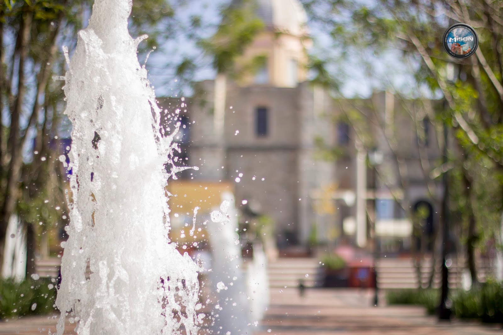 leetx-google-photo-76052-1