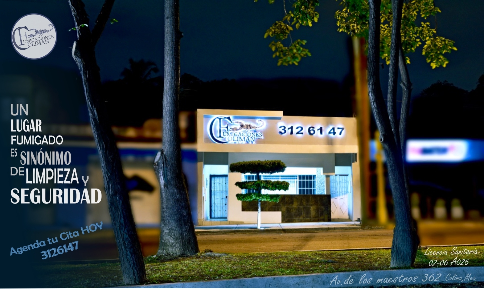 leetx-google-photo-76112-1