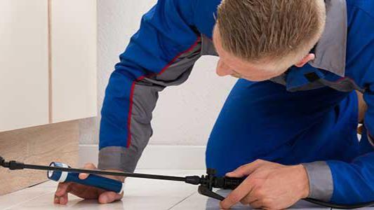 leetx-google-photo-76119-1