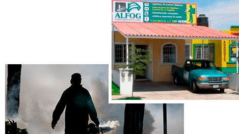 leetx-google-photo-76119-3 leetx-google-photo-76119-3