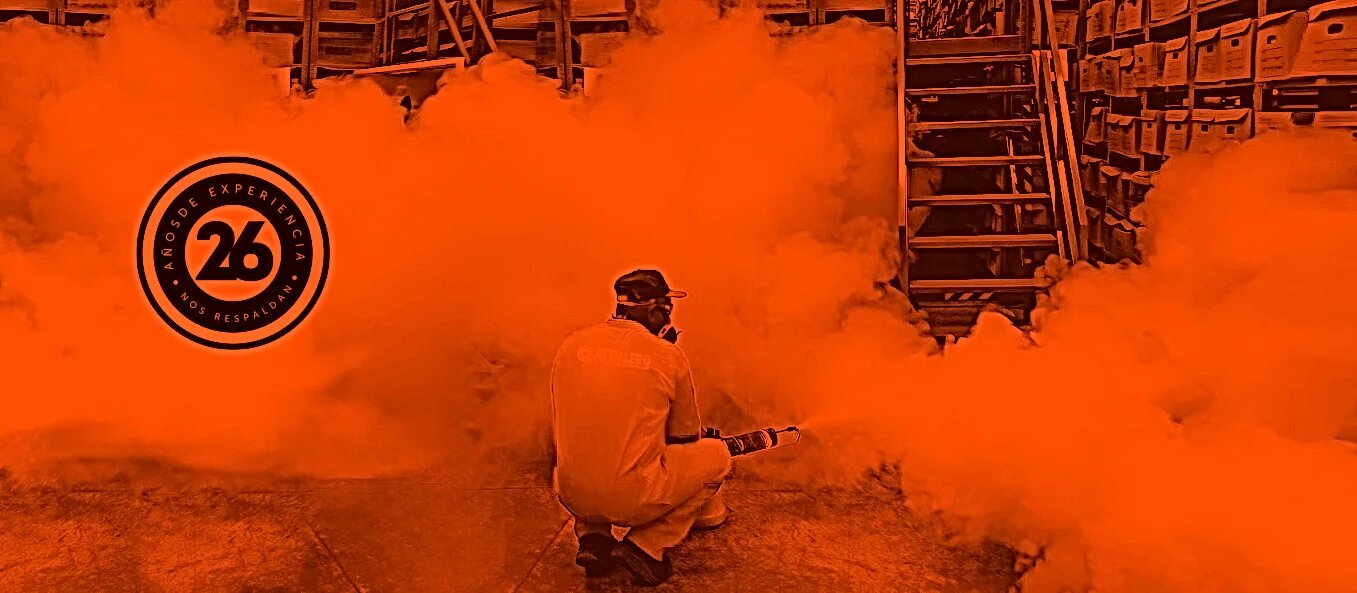 leetx-google-photo-76156-1